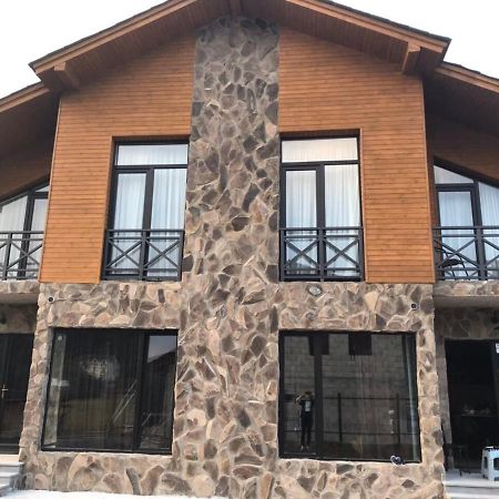 Bakuriani Cozy Villa #4 Kültér fotó