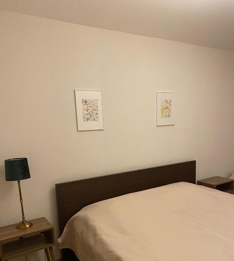 Bakuriani Cozy Villa #4 Kültér fotó