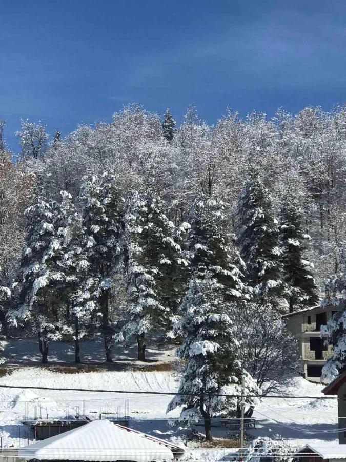 Bakuriani Cozy Villa #4 Kültér fotó
